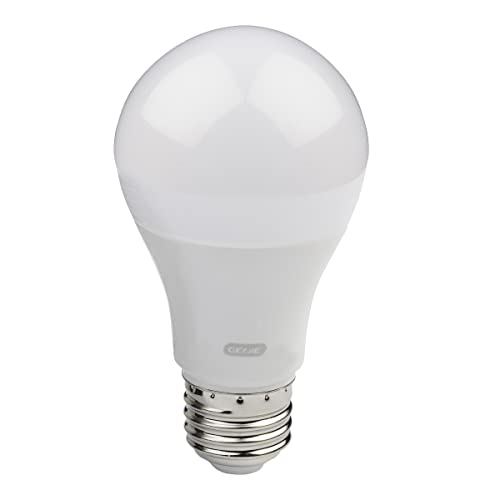 Genie Light Bulb-60 Watt (800 Lumens) -Made to...