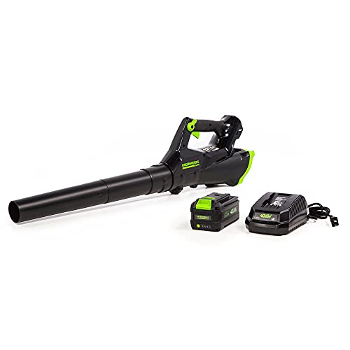 Greenworks 40V (110 MPH / 390 CFM) Cordless Axial...