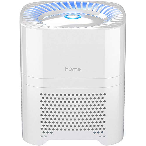 hOmeLabs 4-in-1 Compact Air Purifier - Quietly...