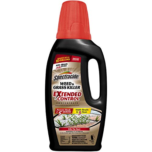 Spectracide Weed and Grass Killer With Extended...