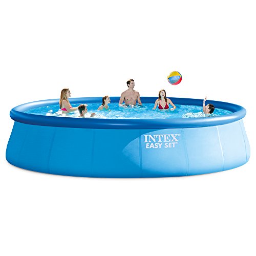 Intex 18ft X 48in Easy Set Pool Set with Filter...