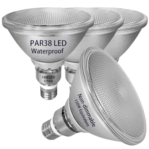 PAR38 LED Flood Light Bulb,Classic Glass,Bright...