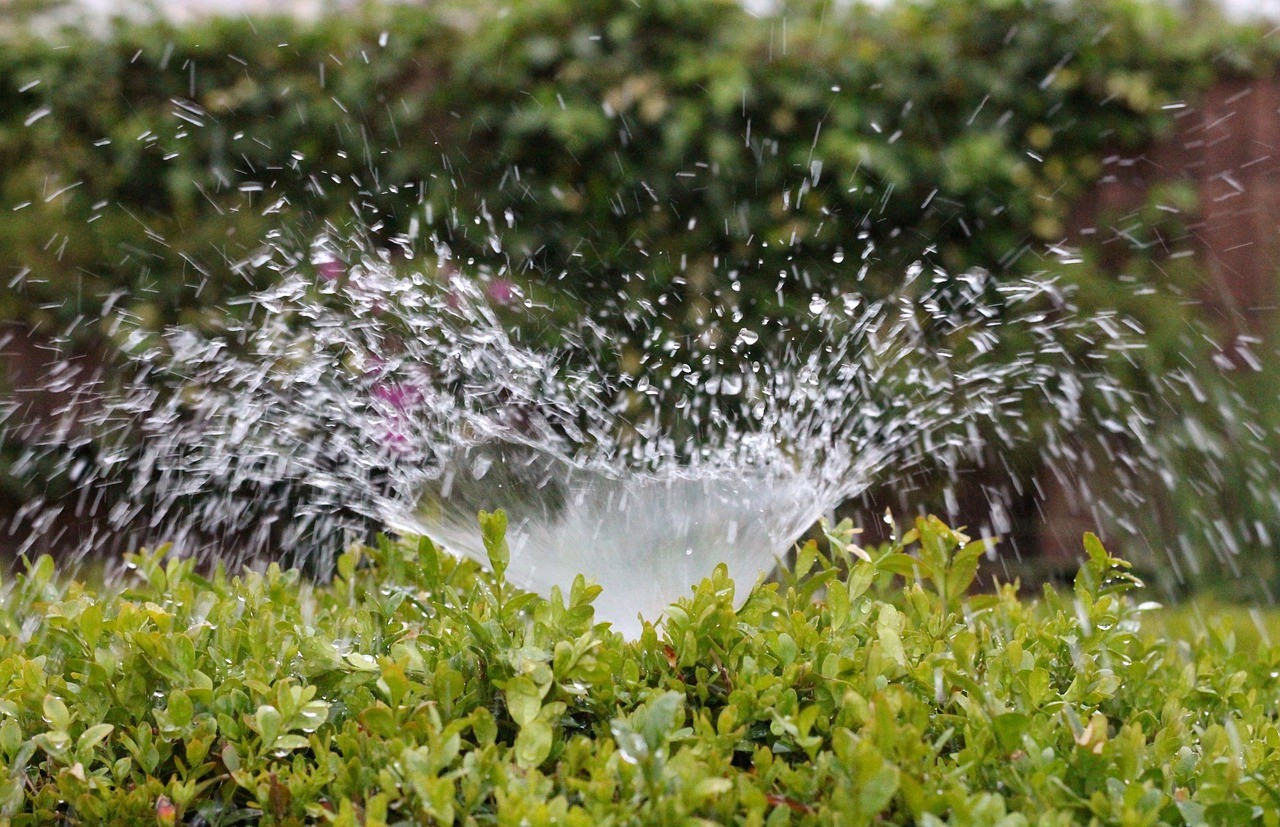Best Motion Activated Sprinklers